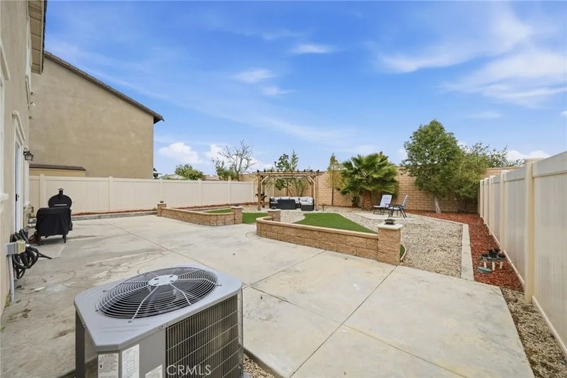 24318 Red Spruce