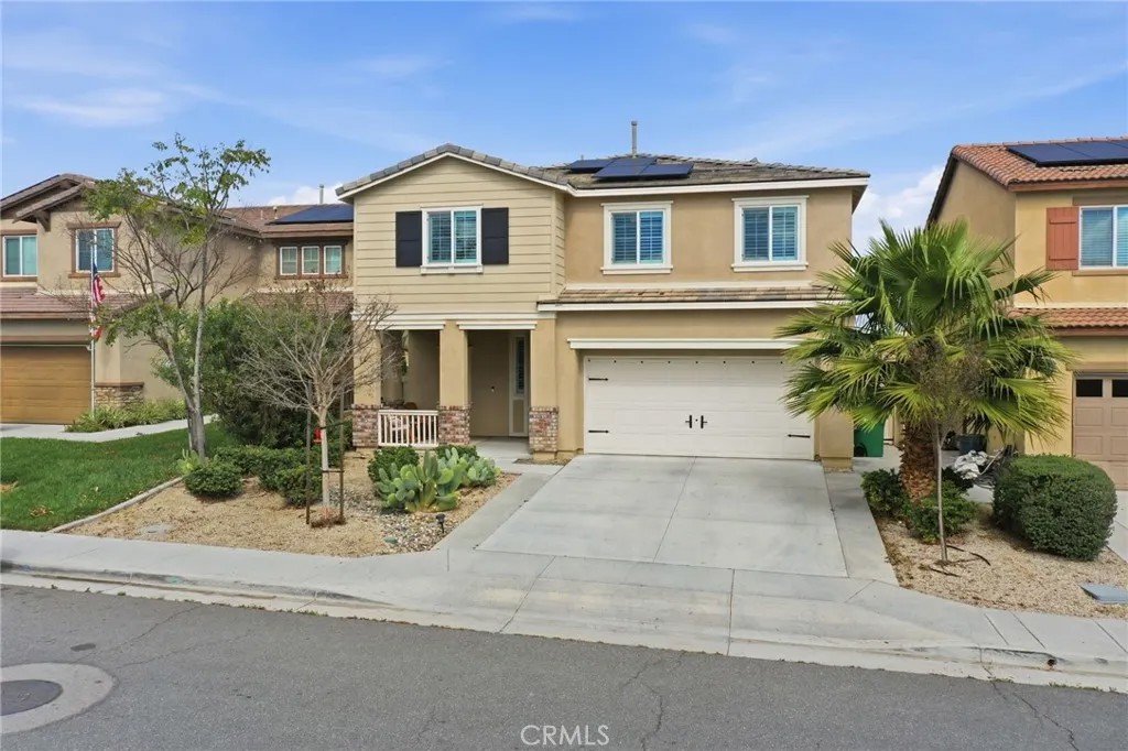 24318 Red Spruce