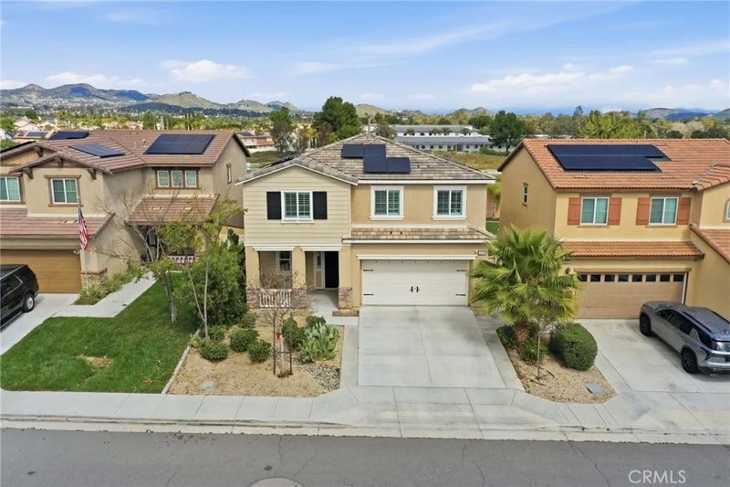 24318 Red Spruce