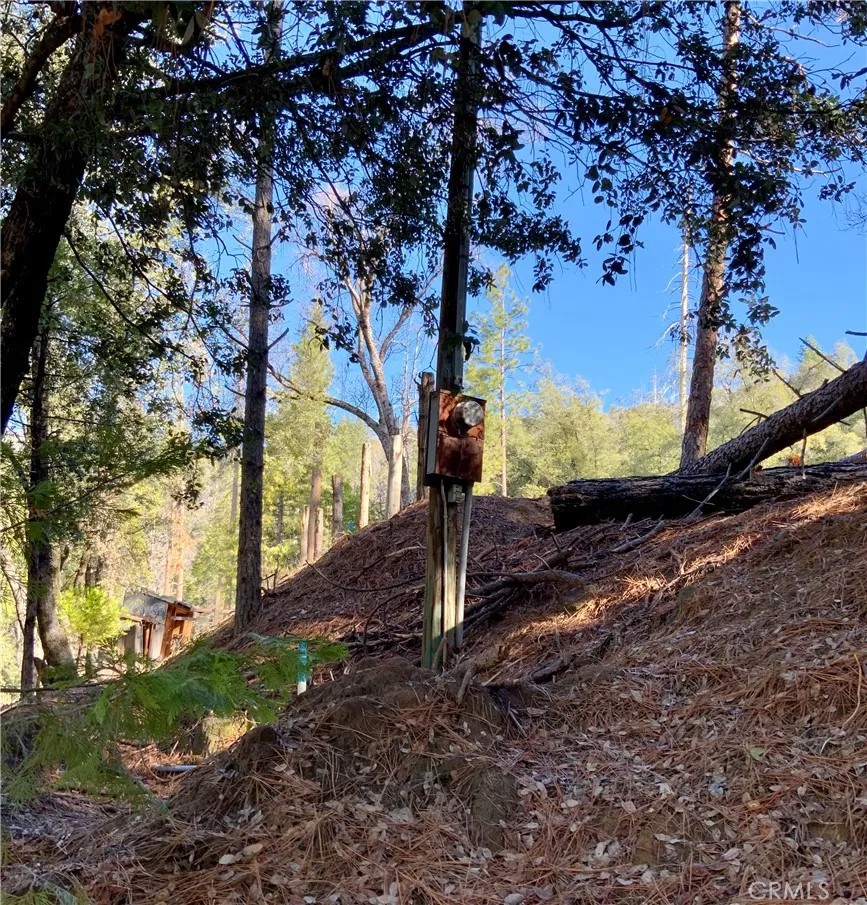 50963 Chu Ranch