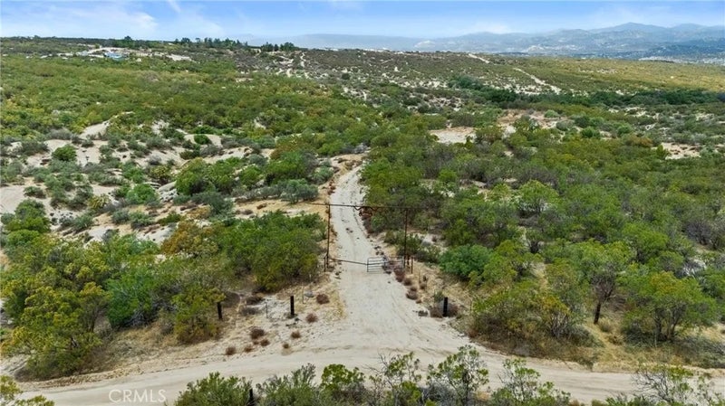 0 Encina Verde