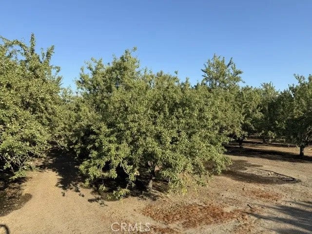 4032 W Inyo