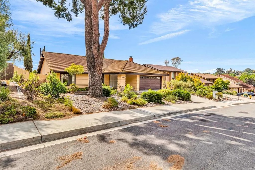 10021 Canyontop Street