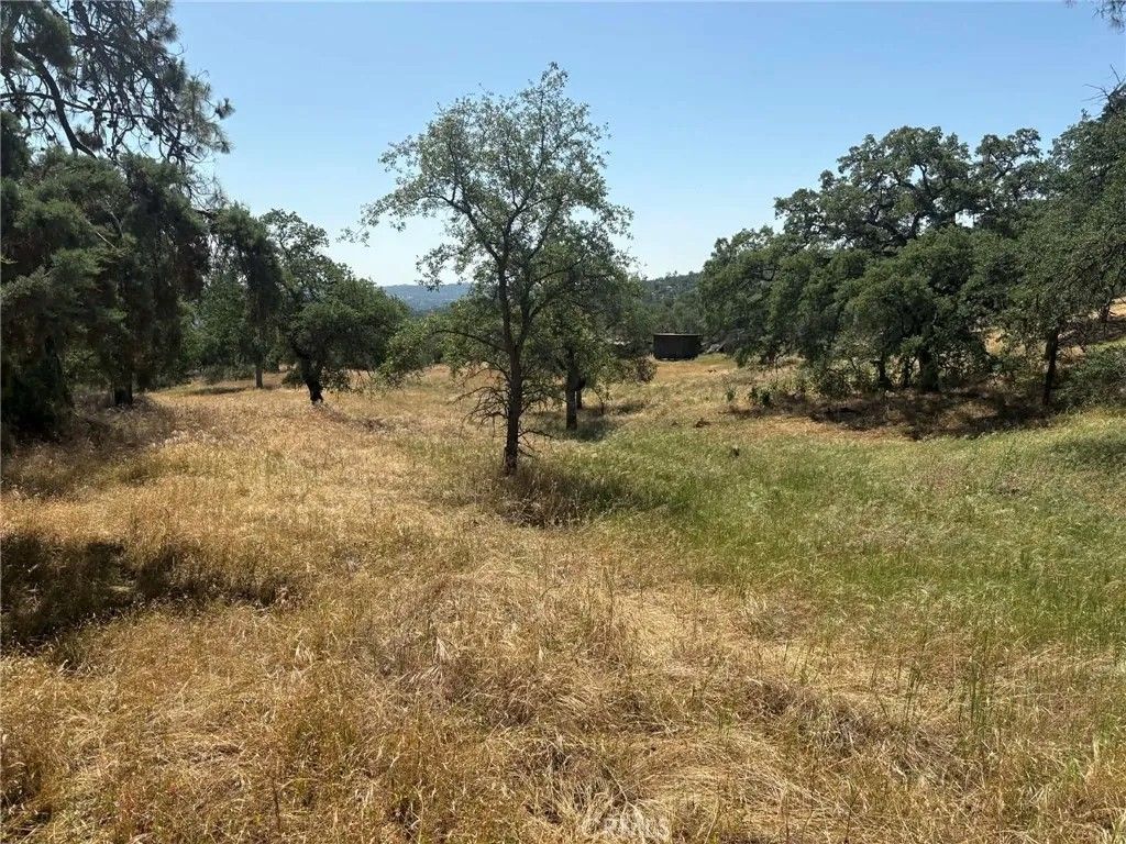 Photo of 0 Lilley Mountain, Coarsegold, CA 93614 (MLS # FR26081846)