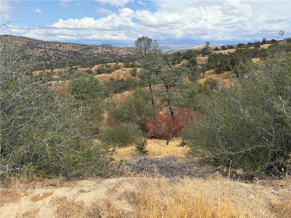 1572 Lilley Mountain