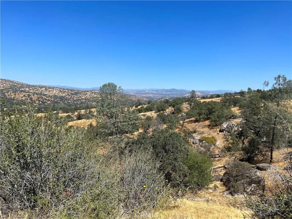 1572 Lilley Mountain
