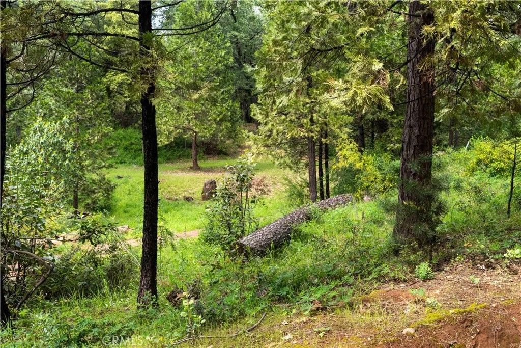 Photo of 21324 Aqueduct Cir, Pine Grove, CA 95665 (MLS # IV26081017)