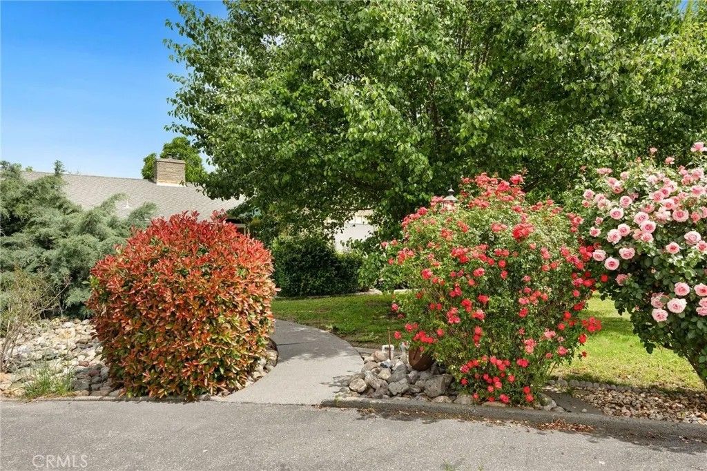 Photo of 7012 State Highway 32, Orland, CA 95963 (MLS # SN26097730)
