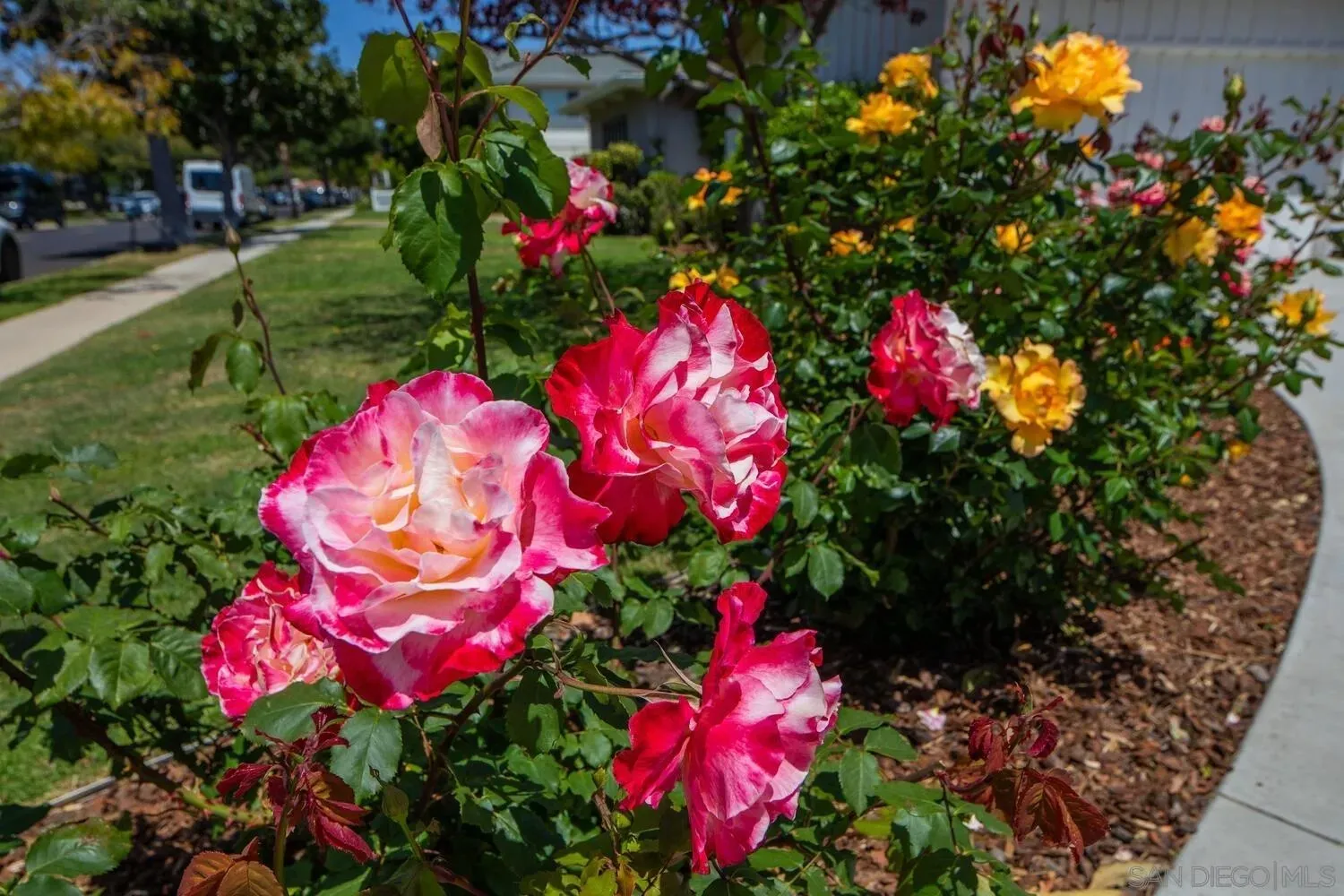 Coronado, California 92118, United States, 3 Bedrooms Bedrooms, ,4 BathroomsBathrooms,Residential,Pending,118073