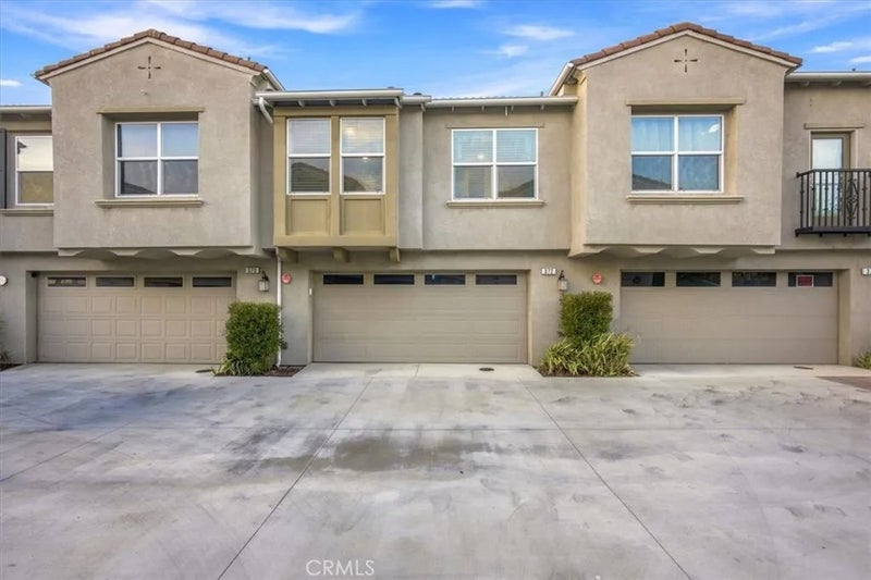 7155 Citrus 372