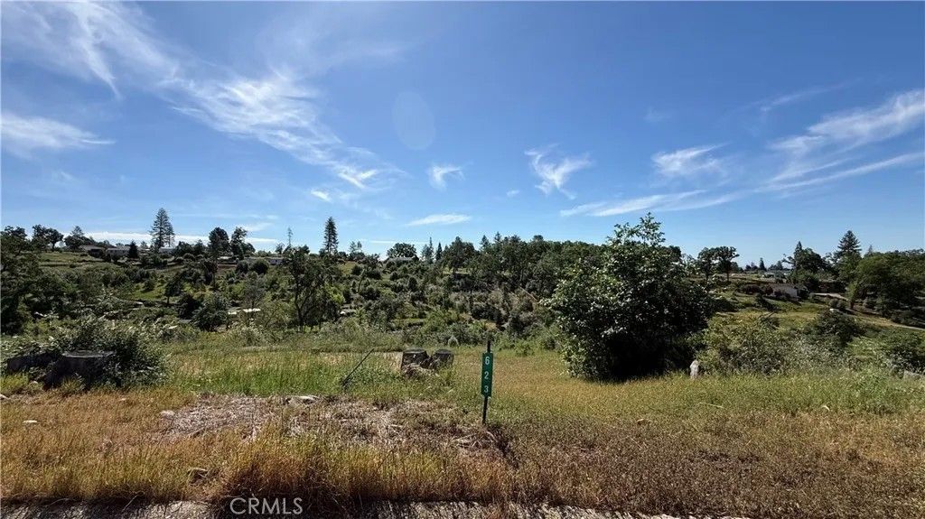 Photo of 623 Circlewood Dr, Paradise, CA 95969 (MLS # SN26079560)