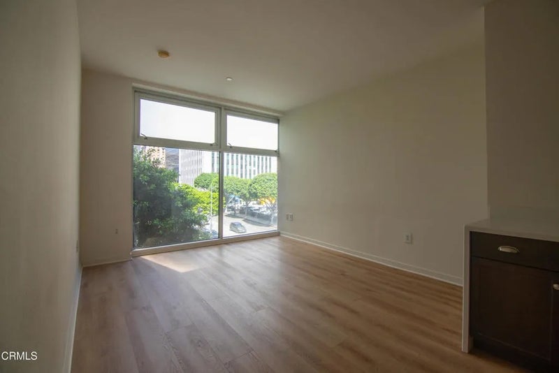 630 W 6th Street 316