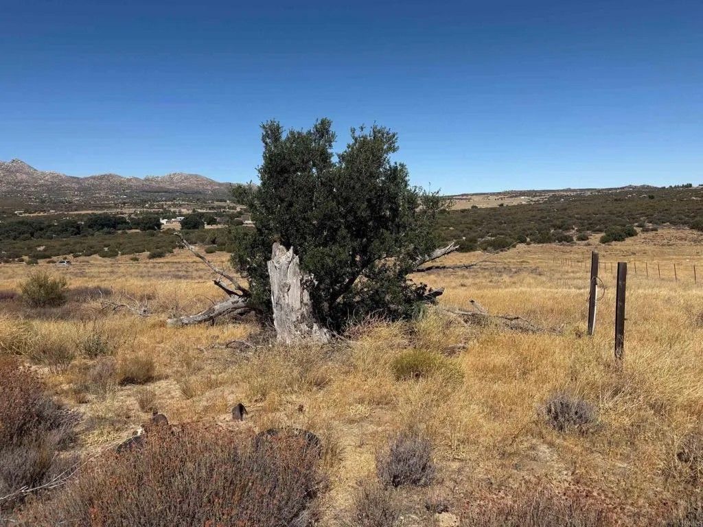 Photo of 0 Montezuma Valley Road, Ranchita, CA 92066 (MLS # NDP2600028)