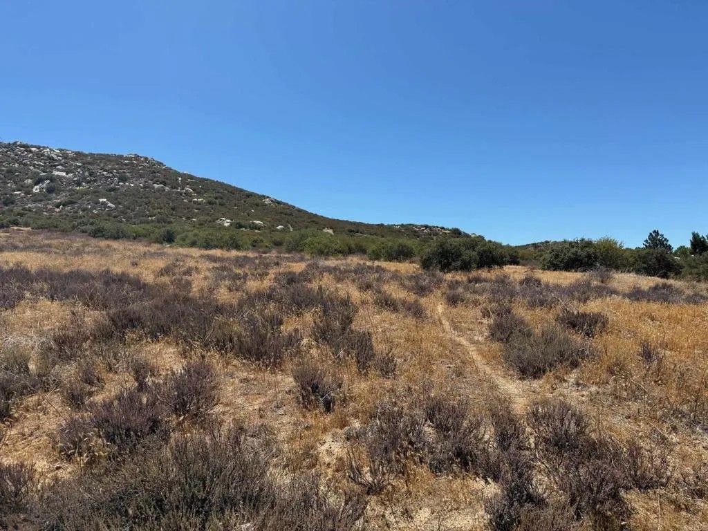 Photo of 0 Montezuma Valley Road, Ranchita, CA 92066 (MLS # NDP2600028)