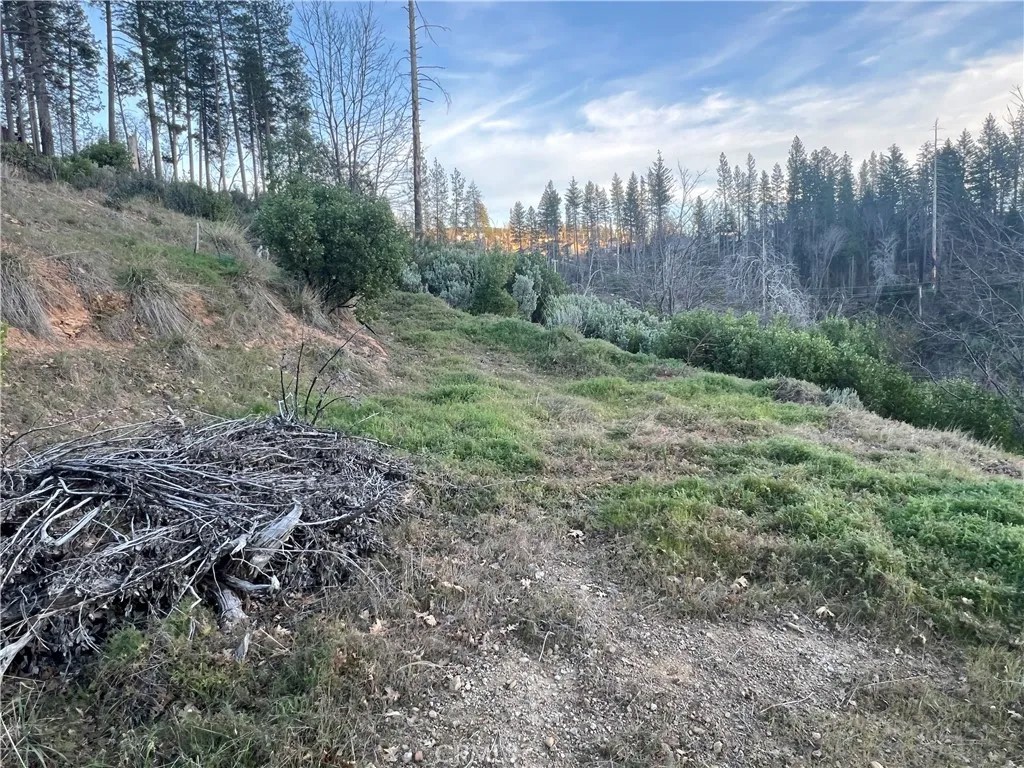 16709 Starview Loop