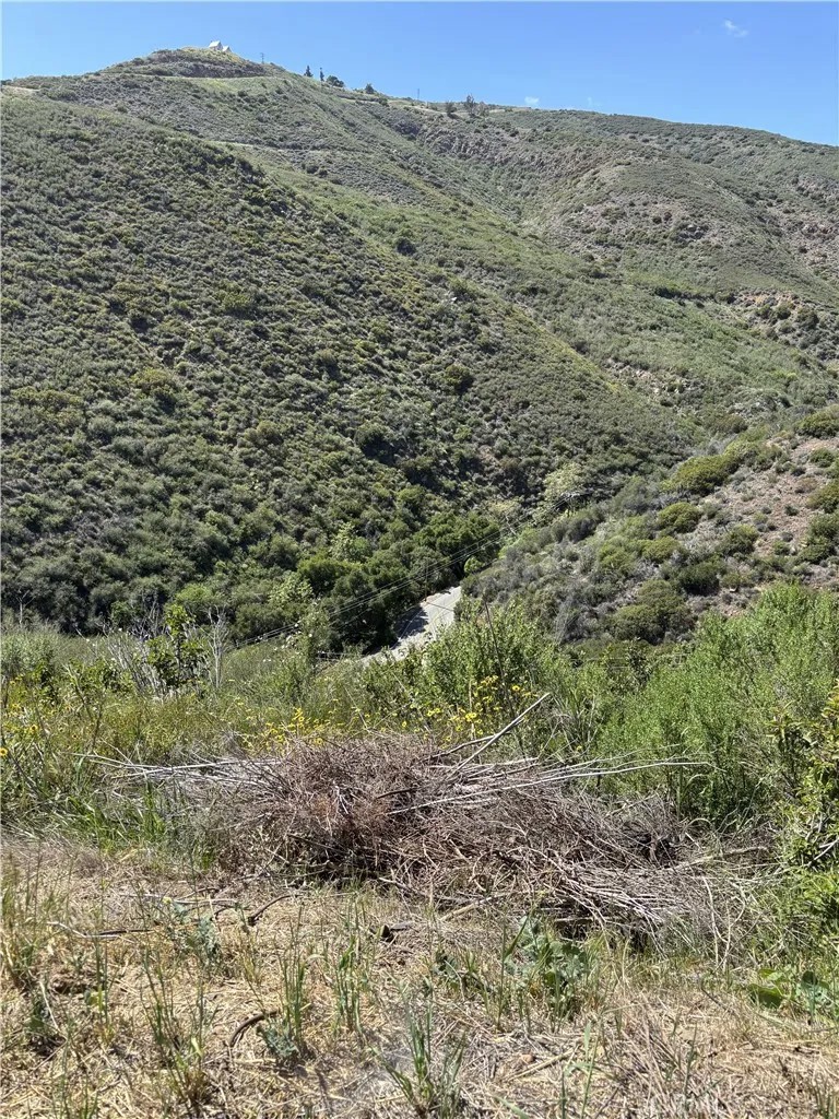 12110 Yellow Hill