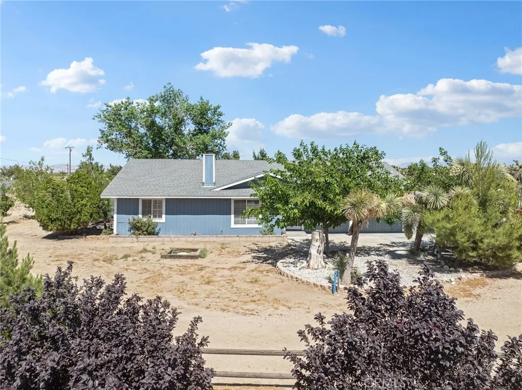 10925 Buttonwood