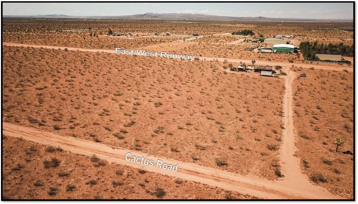 8746 Cactus