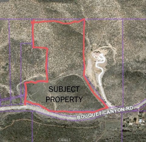 38351 Bouquet Canyon Road Leona Valley CA 93551