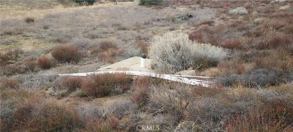 38351 Bouquet Canyon Road