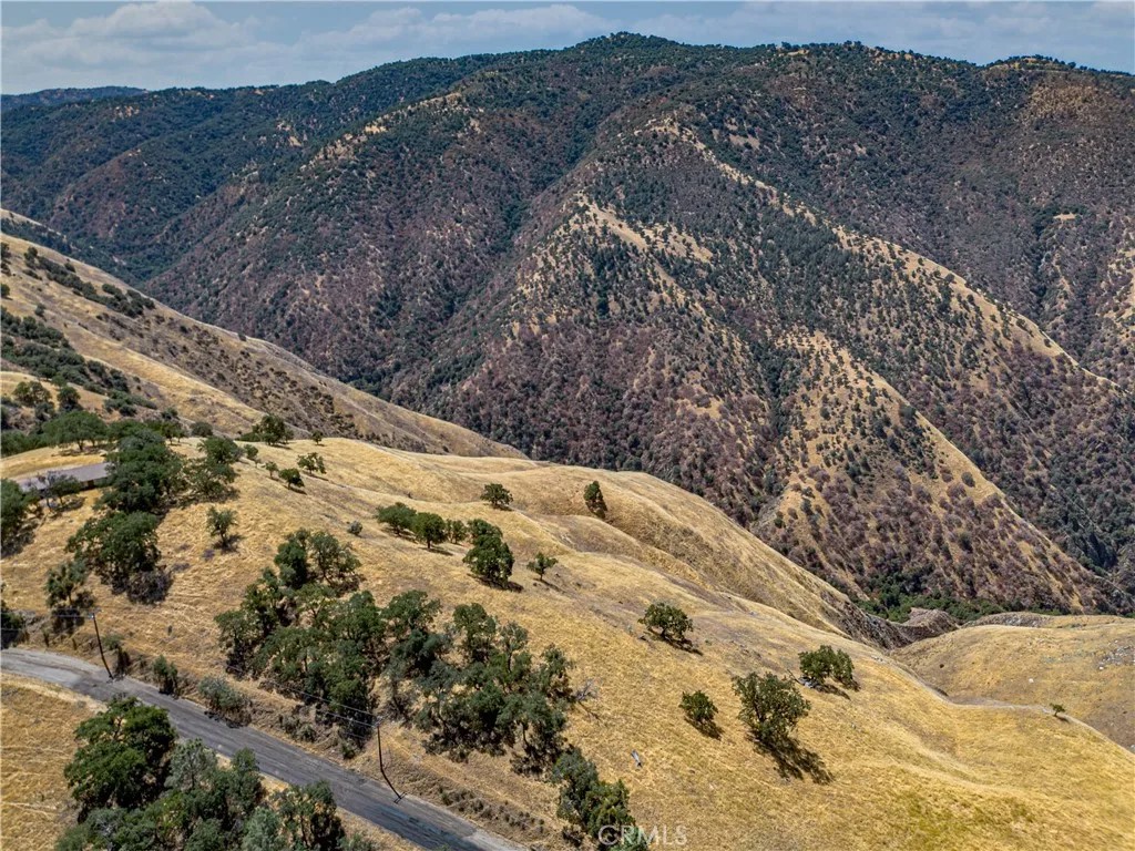 29201 Deertrail
