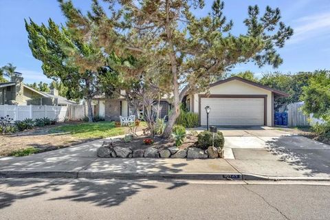 Photo of 10743 Flambeau Place, La Mesa, CA 91941 (MLS # PTP2507352) Photo of 10743 Flambeau Place, La Mesa, CA 91941 (MLS # PTP2507352)