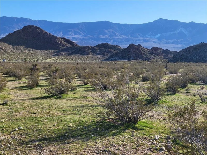 0 Rabbit Springs