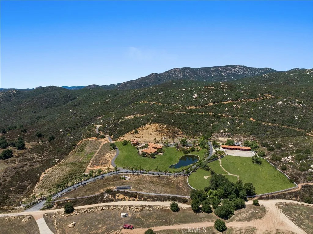 37565 Calle De Companero