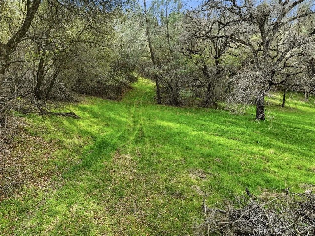 Photo of 0 Lookout moumtain, Mariposa, CA 95338 (MLS # MP26006581)