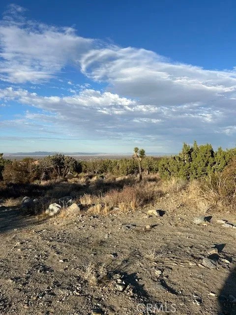 0 Yucca