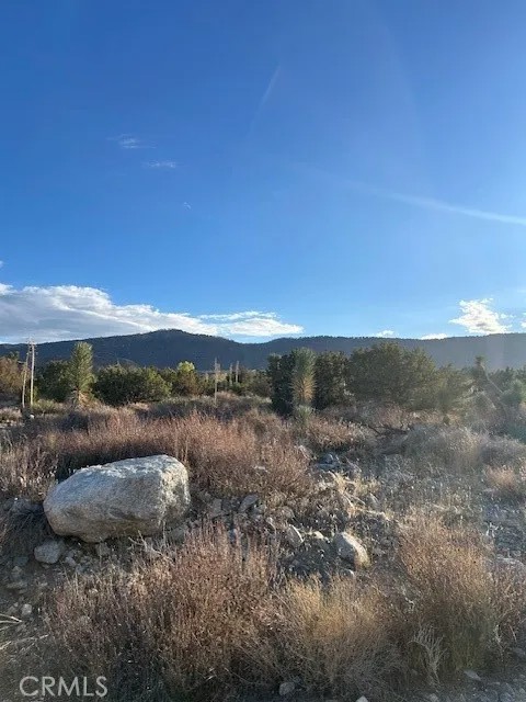 0 Yucca