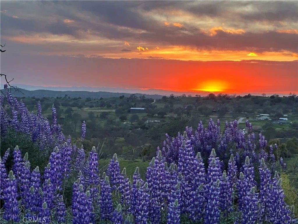 Photo of 0 Spinecup Ridge, Raymond, CA 93653 (MLS # MC26017516)