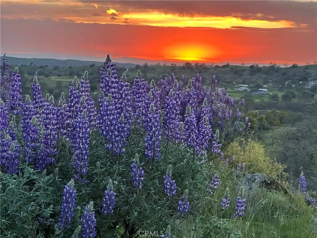 Photo of 0 Spinecup Ridge, Raymond, CA 93653 (MLS # MC26017516)