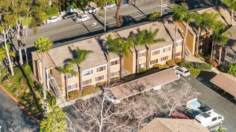 3167 Via Alicante 242 La Jolla CA 92037