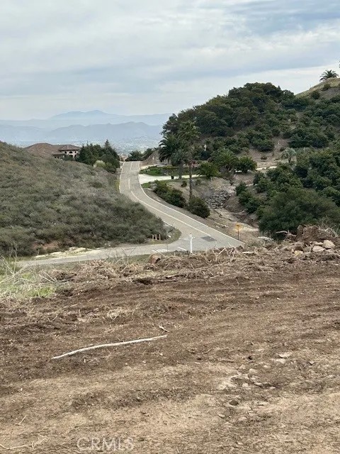 15 Camino Gatillo