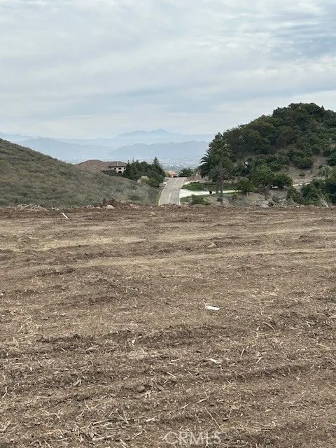 15 Camino Gatillo