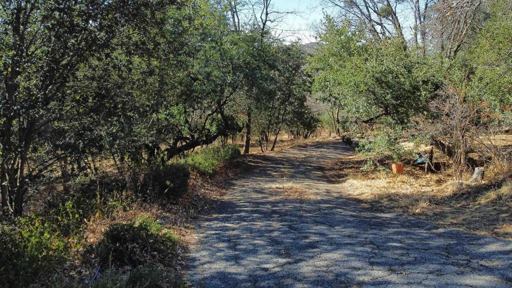 Photo of 5298 Pine Hills Rd, Julian, CA 92036 (MLS # 250041609)