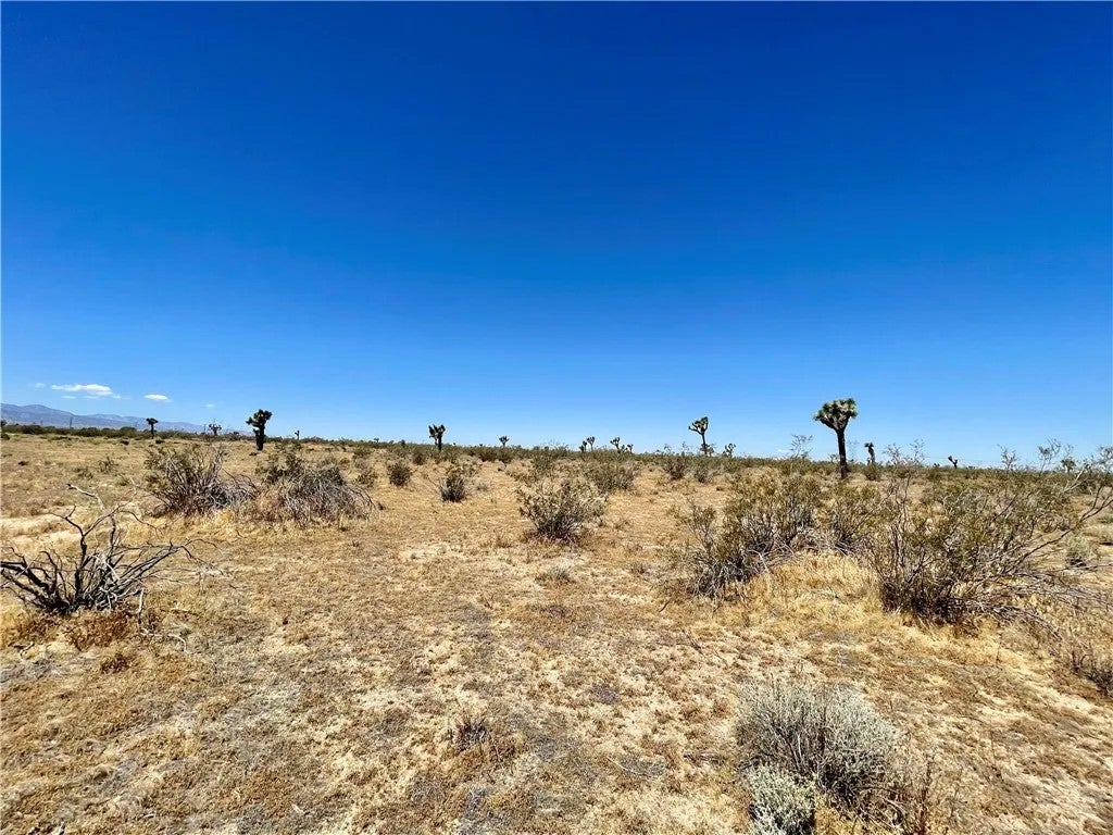 0 Nevada Rd.