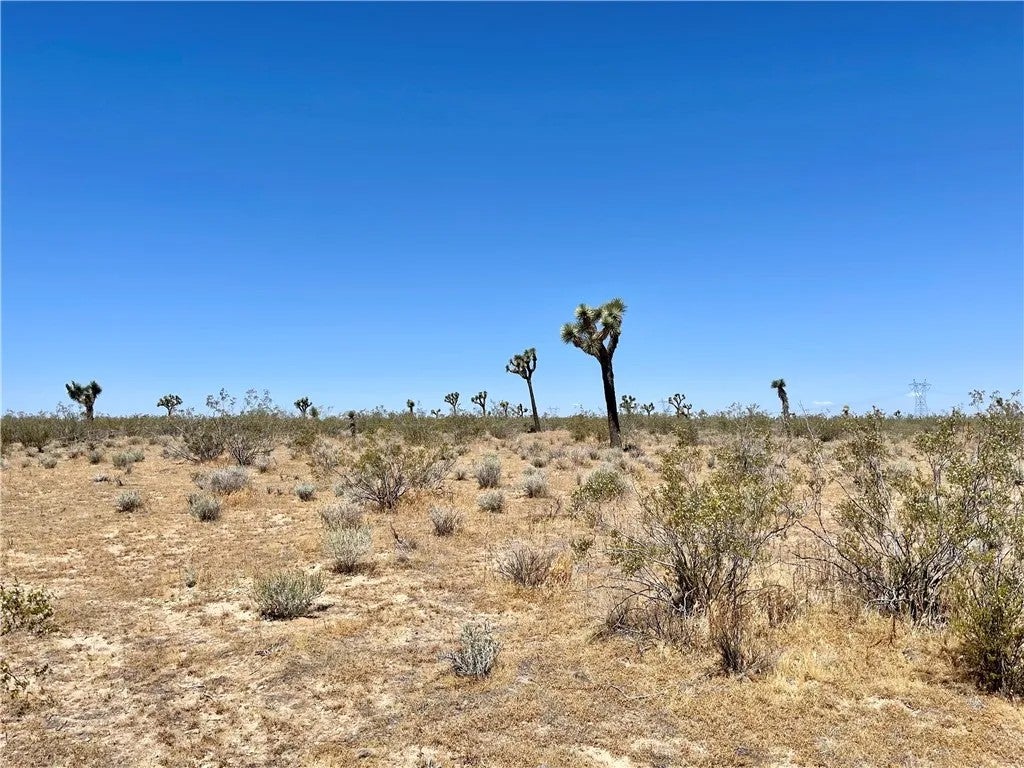 0 Nevada Rd.