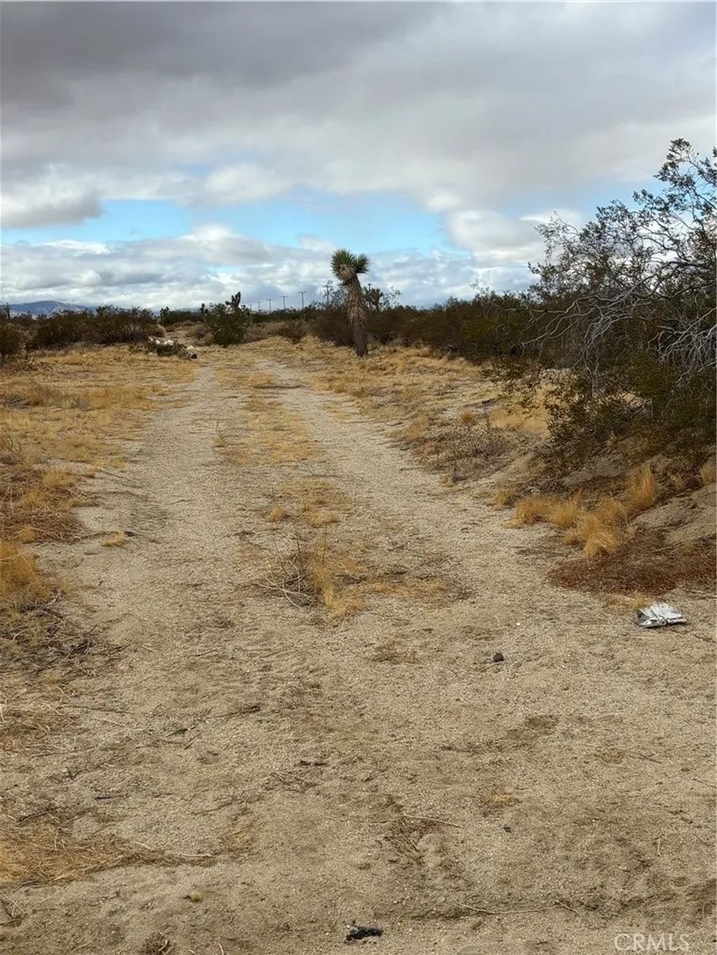 Photo of 165 E Avenue S8, Palmdale, CA 93591 (MLS # SR26078487)