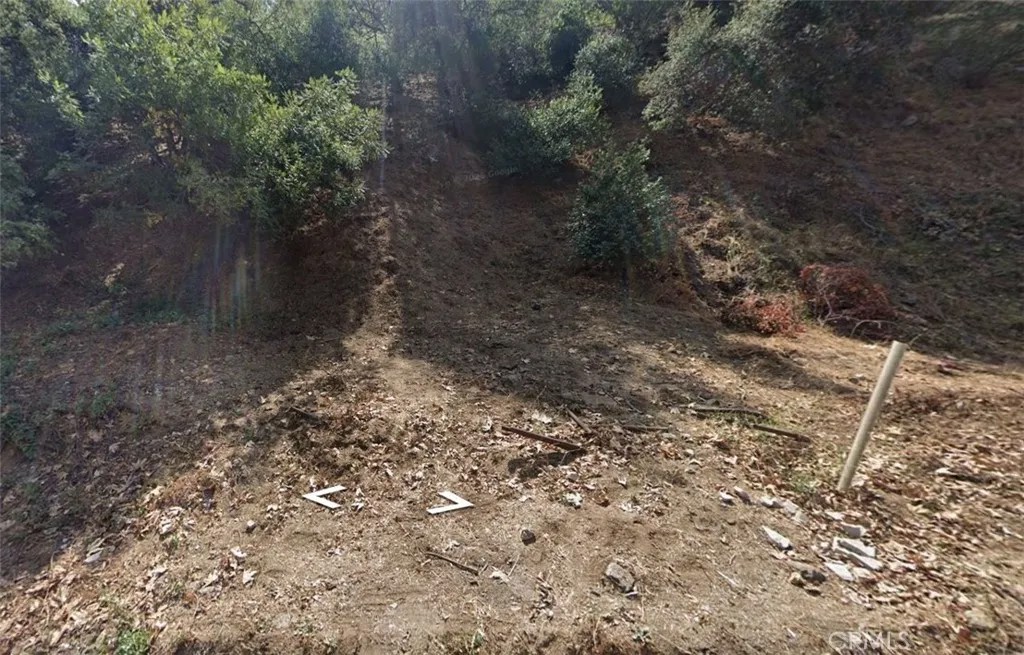 2145 Laurel canyon