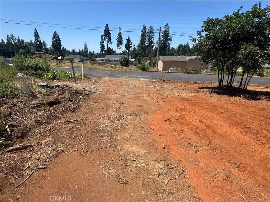 14053 Pineland