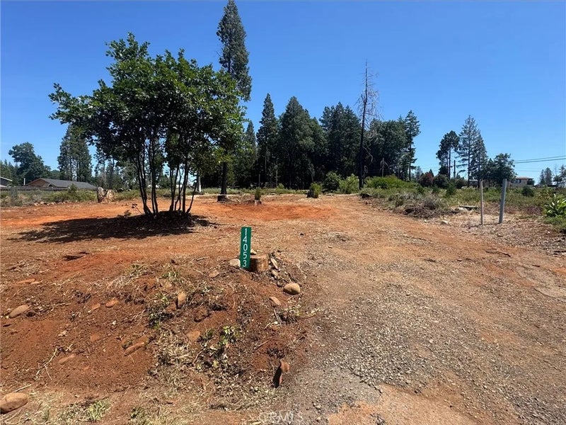 14053 Pineland