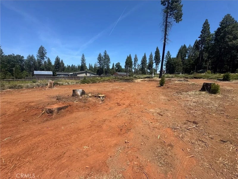 14053 Pineland