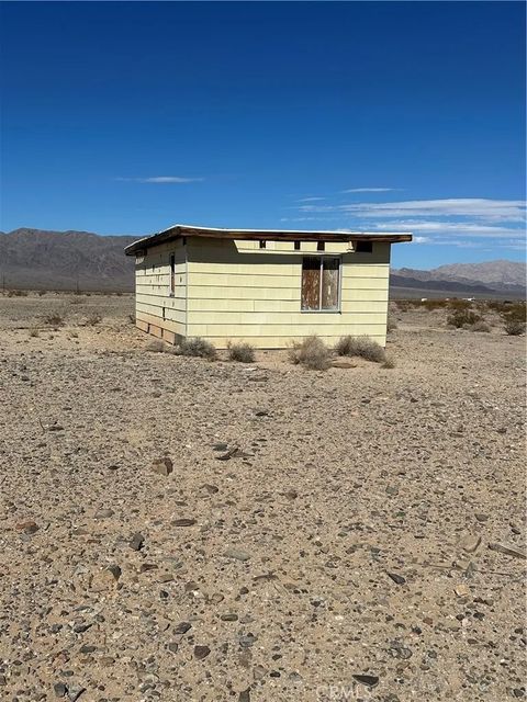 1 Screech Owl 29 Palms CA 92277