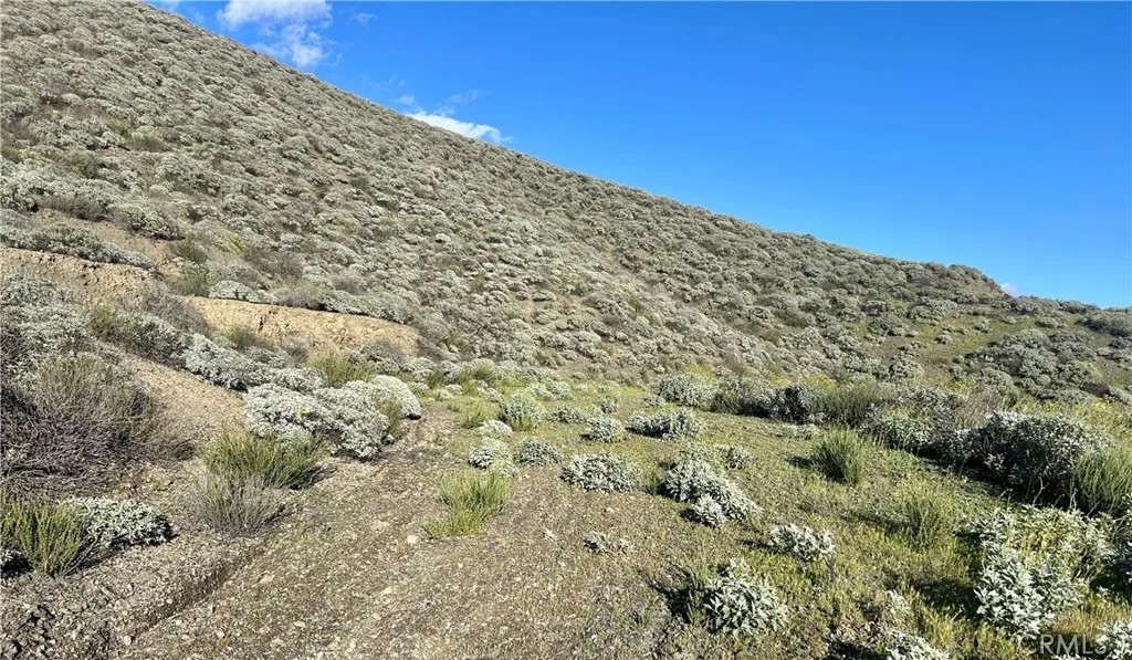 0 Montana