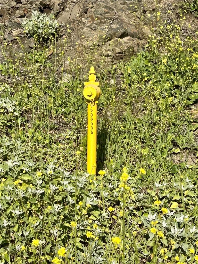 0 Montana