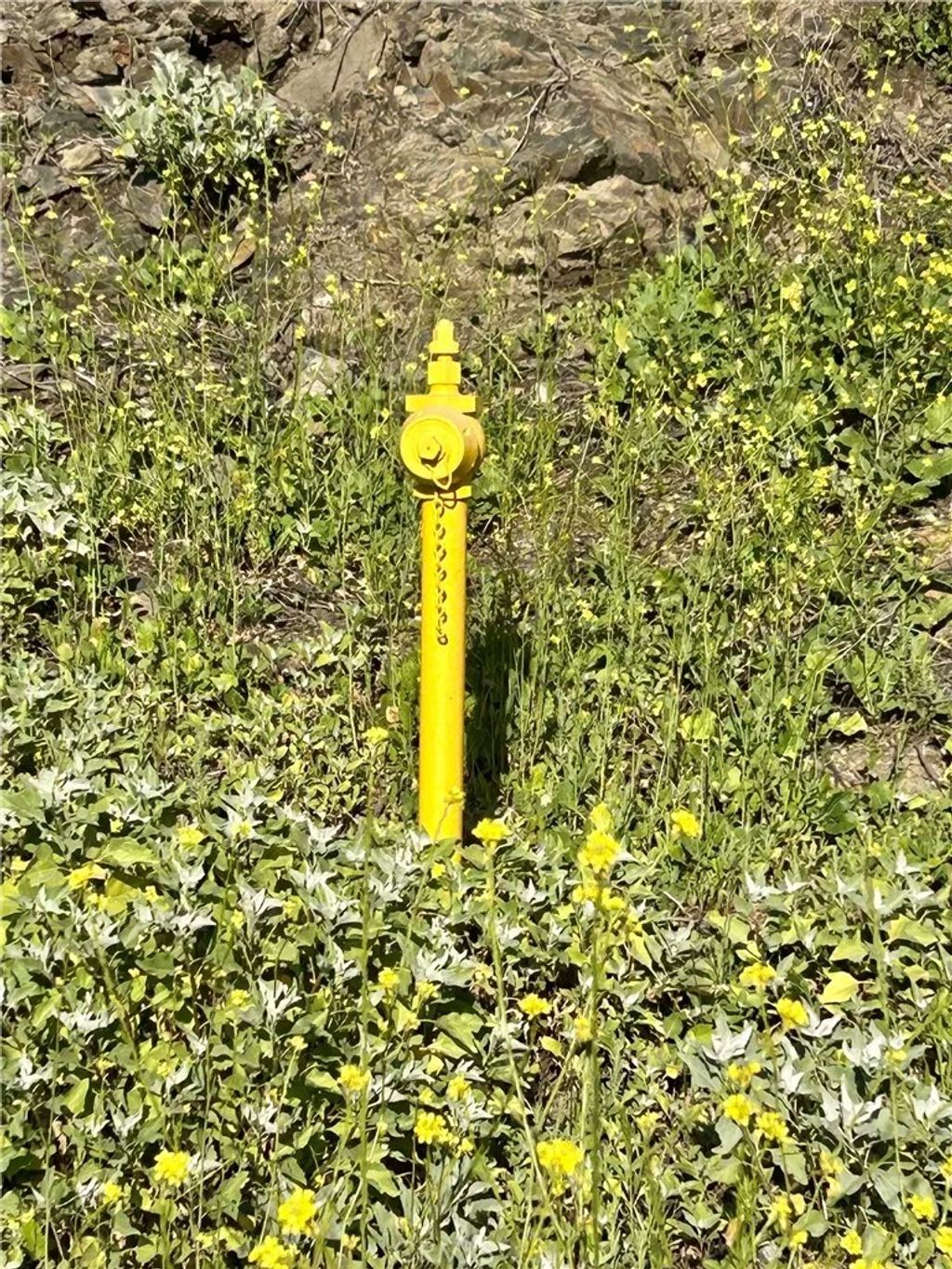 Photo of 0 Montana, Menifee, CA 92587 (MLS # IG26041571)