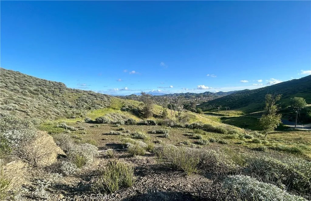 0 Montana