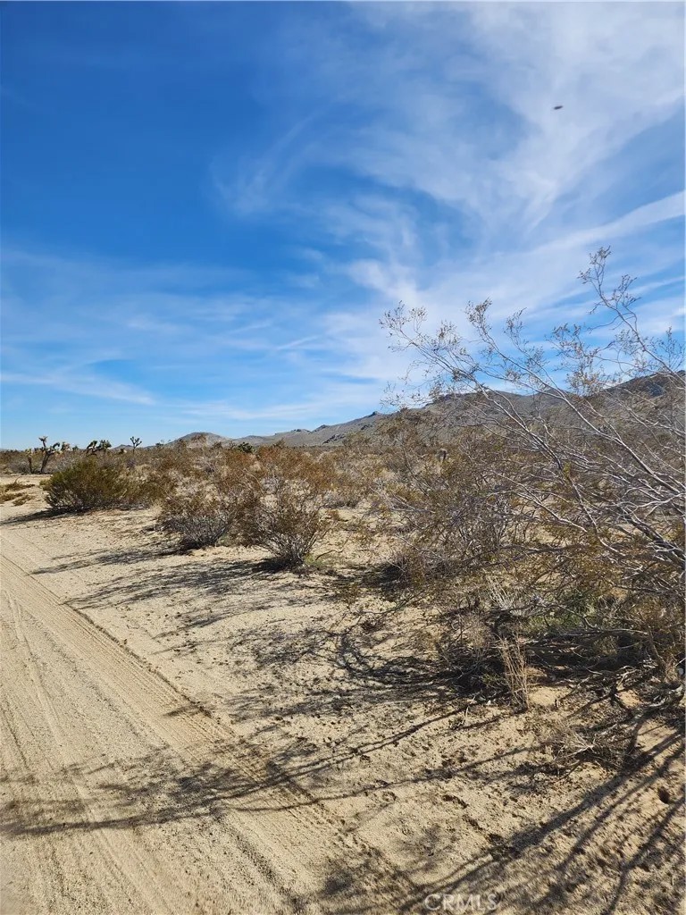 22621020 Gordon Blvd